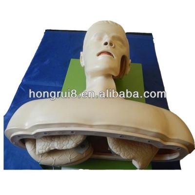 China Patients Care Demonstration Airway Intubation Model , Training Intubation Manikin for sale