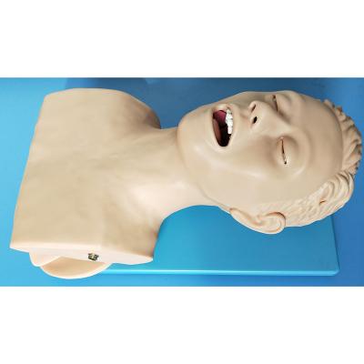 China School Model Electric Trachea Intubation Teaching Simulation (Medical Manikins) for sale