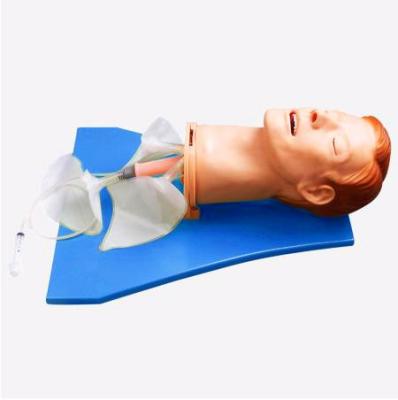 China Medical School High Quality Tracheal Intubation Training Model Airway Management &Multi-functional Model for sale