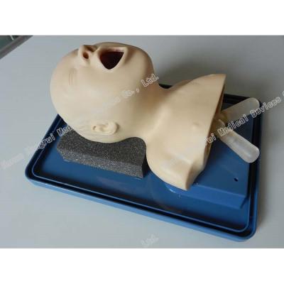 China School Model Neonate Intubation Training Teaching Manikin, Oral Intubation Training Model for sale