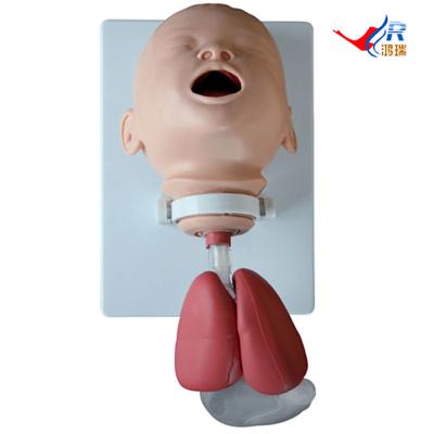 China Educational Infant Tracheal Intubation Simulator Infant Tracheal Intubation Simulator, Baby Intubation Tracheal Training Model for sale