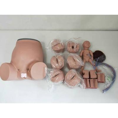 China GYN Skills Teaching Medical Sciences Childbirth Skill Training Model for sale