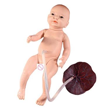 China School Model Neonatal Umbilical Cord Care Teaching Model, Newborn Umbilical Cord Care Manikin for sale