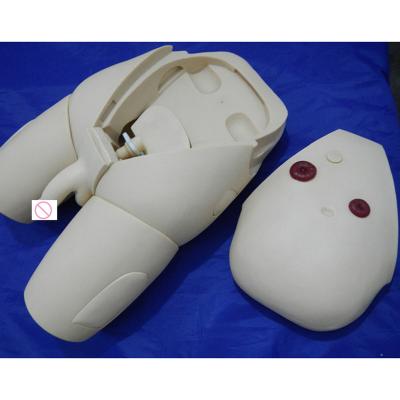 China Male Urethral Catheterization Care Simulated Male Urethral Catheterization Practice Model for sale