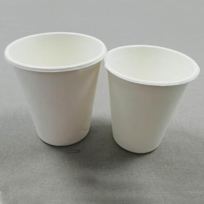 China 12 Oz Sugarcane Paper Coffee Cups Sturdy Disposable Hot And Cold Beverages Cups,Branded Paper Coffee Cups for sale