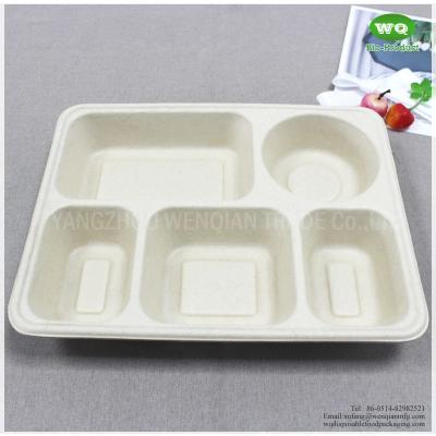 China 5 Compartments Unbleached Bagasse Tray-China Factory Offer Eco-friendly Fast Food Box Container Tray for Hot Foods for sale