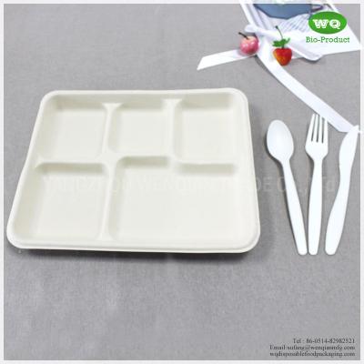 China 100% Biodegradable Sugarcane Pulp 5 Compartments Tray-High quality Biodegradable food tray For birthday parties for sale