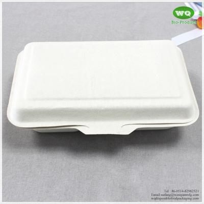 China 1000ml Sugarcane Pulp 2- Compartments Hinged Lid Lunch Box-Heavy-Duty Compostable Clamshell Take Out Food Containers for sale