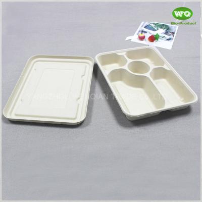 China 5-Coms Biodegradable Rectangle Tray With Lid-Bagasse Sugarcane Fiber Tableware-Low Carbon Footprint Disposable Tray for sale