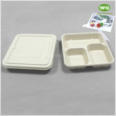 China Biodegradable Sugarcane Pulp 3-Coms Square Disposable Lunch Tray With Lid-100% Compostable Disposable Catering Trays for sale