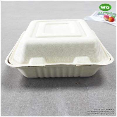 China 8x8 Inch Three Compartments Compostable Sugarcane Fiber Disposable Lunch Box-Disposable Food Packaging Manufacturer for sale