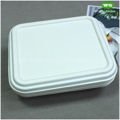 China Biodegradable Sugarcane Pulp 3-Compartment Food Box-High Quality Plant Fiber Takeaway Food Container Supplier In China for sale