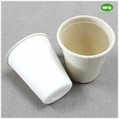 China 8oz Sugarcane Pulp Cup Compostable And Degradable 100%  Coffee Cups Recyclable  Cups Freezer Safe Plant pulp Cups for sale