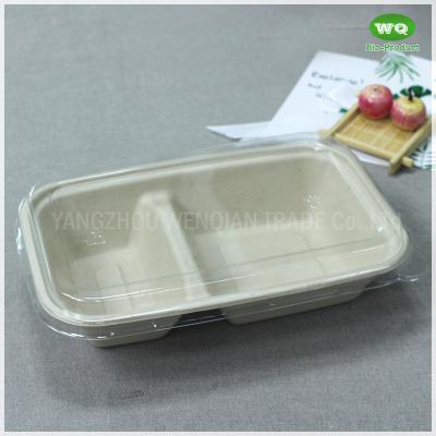 China Biodegradable Unbleached 3-7 Lunch Box with Clear PET Lid- Eco-friendly Paper Pulp Bagasse Takeaway Food Containers for sale