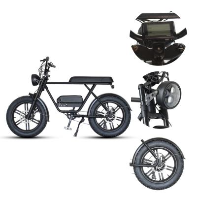 China Fat Bike 750W Steel Electric Raw Tire Ebike Electric Bicycle for sale