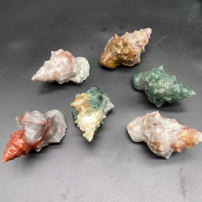 China Nature Conch Europe Seashells Craft Stones Crystal Gemstones Gifts Unique Seashells Souvenir for sale