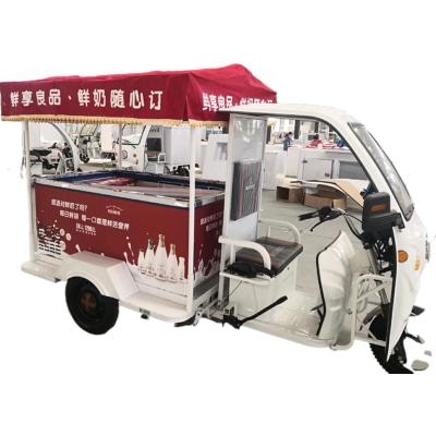 China Fashionable Good Quality 3 Wheel Watering Systems Electric Cart Frozen Food Truck For Sale for sale