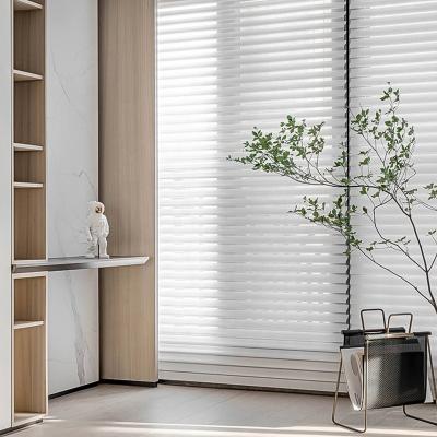 China Custom Horizontal RunChen Shangri-La Modern 100% Polyester Curtains Blinds Striped Sheer Blinds Cordless Automatic Blinds for sale