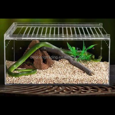 China Customized Cuboid Mini Acrylic Sliding Viable Box Pet Reptile Cage Reptile Greenhouse 4 Sizes for sale