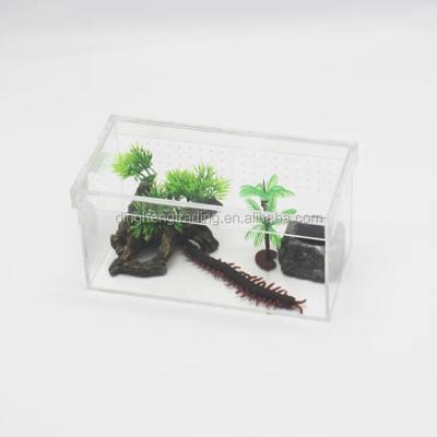 China Viable Direct Sale Clear Factory Acrylic Fence Reptile Vivarium For Centipede Tarantulas Chameleon Props for sale