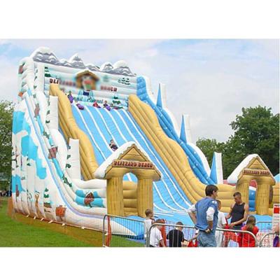 China Factory High Strength Cheap Inflatable Slide Snow Slide Giant Inflatable Water for sale