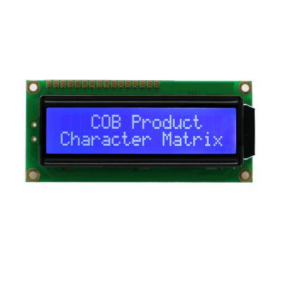 China Industrial Application LCD Screen Brazil Turkey Character Popular Common Use 1602 LCD Module for sale