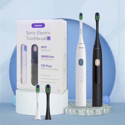 China Dupont Bristle Lebooo Maker Couple Double Electric Rechargeable Smart Sonic Toothbrush Professional Toothbrush Sets for sale