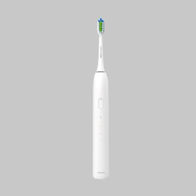 China Dupont stiffen IPX 7 Waterproof Rechargeable Ultrasonic Toothbrush Travel Electric Toothbrush for Adult for sale