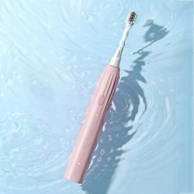 China Custom Rechargeable Clean Speeds 2 Modes Rechargeable Clean Speeds Dupont Bristle Electric Toothbrush Dupont Bristle Logo Type C Ultrasonic Toothbrush for sale