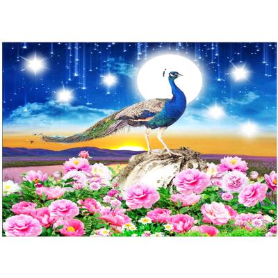 China Home decoration; gifts ; wedding diy diamond painting full round diamond canvas peacock decoration artwork landscape for sale