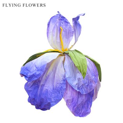 China Beautiful New Fashion Colorful Artificial Purple Iris Flowers Decoration For Wedding Christmas Window Display Decorations for sale