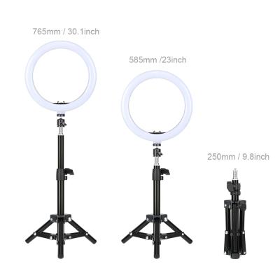 China Zomei 10inch RGB Light USB Beauty Studio Photo Circle Dimmable Selfie Video Ideo Recording Light Selfie Led Ring Light With Tripod Stand for sale