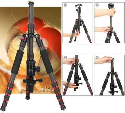 China Bonfoto B690 Light Ball Head Tripod Head Light Tripod For Dslr Camera for sale