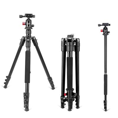 China Digital Camera Zomei M6 Professional Travel Portable Lightweight Camera Tripod for sale