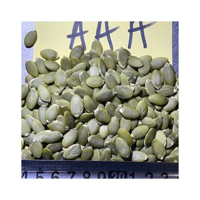 China China Manufacturer Factory Price Quality Dry Vacuum Roasted Sunflower Seeds Pumpkin Kernels for sale