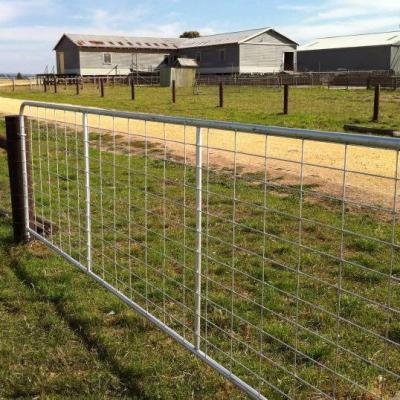 China Easily Assembled Galvanized Welded Wire Mesh Farm Doors for sale