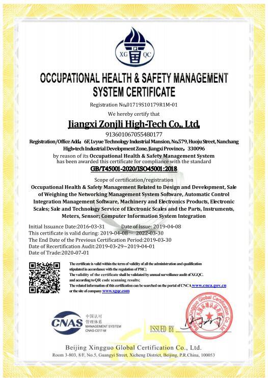 ISO 45001 - Jiangxi Zonjli High-Tech Co., Ltd.