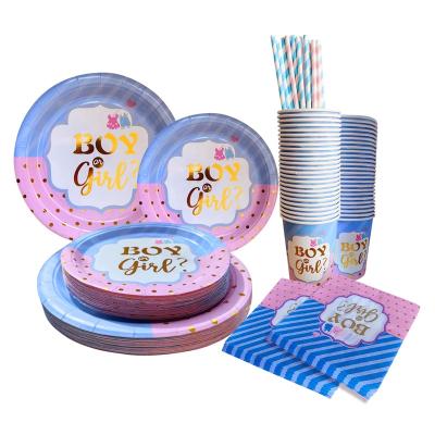 China American Style Gender Reveal Party Decorations Pink Blue Boys Girls Baby Shower Tableware Set Paper Plates Napkins Straws Kids Baby Shower Tableware Set for sale