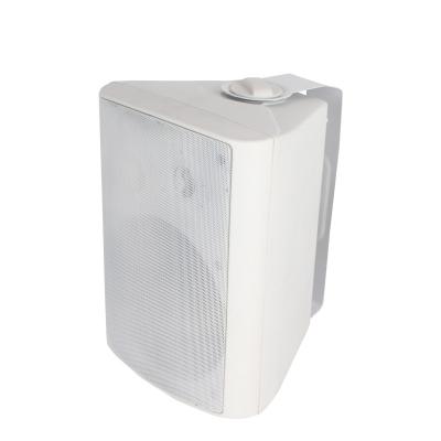 China OEM Manufacturers Perfect Customized Indoor Sound Wall Speaker for sale