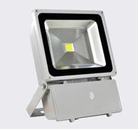 China 100 Watt LED Outdoor Flood Lights IP65 Waterproof For Workshop CRI > 80 for sale