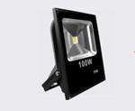 China Garden LED Outdoor Flood Lights 100 Watt 2700K Color Temparature for sale