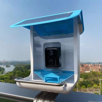 China World Start Automatic Bird Feeder Camera Squirrel Proof Bird Feeder Window for sale