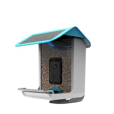 China AI Identify Bird Wildlife Wifi Camera AI Identify Bird Species Smart Bird Feeder For Outdoor Garden With Solar Panel for sale