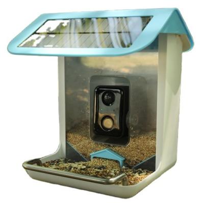 China Auto Outdoor Wildlife Wifi Camera Capture Pictures Photos Video AI Identify Bird Species Smart Bird Feeder For Garden for sale