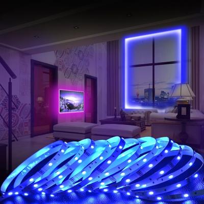 China Strip Works With Alexa Hot Sale Dream Color Home Decoration 5050 RGB Smart Led Light Strip For Decoration for sale