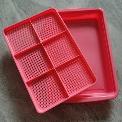 China 2021 Plastic Hot Selling Red Microgreens Grow Tray For Microgreens Growing for sale