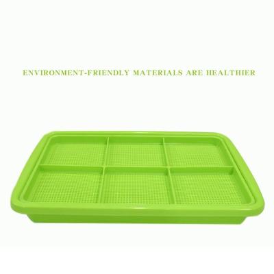 China 2021 Latest Plastic Beautiful Green Microgreen Tray For Growing Microgreens for sale