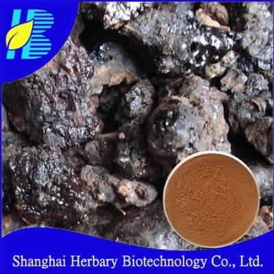 China Good pharmaceutical grade salajeet, mumijo, shilajit extract powder for sale for sale