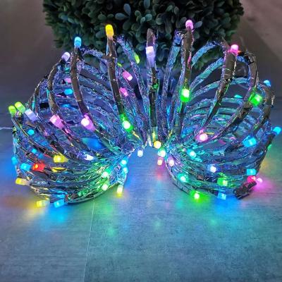 China Christmas / Holiday 2020 Outdoor Decorative LED With Lighting Holiday Xmas String Decoration Light for sale