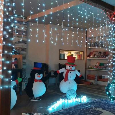 China New Type Star Decor Christmas / Holiday 2021 Colorful Led Neon Hanging Christmas Lights Outdoor for sale